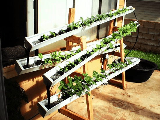 Rain Gutter Planters