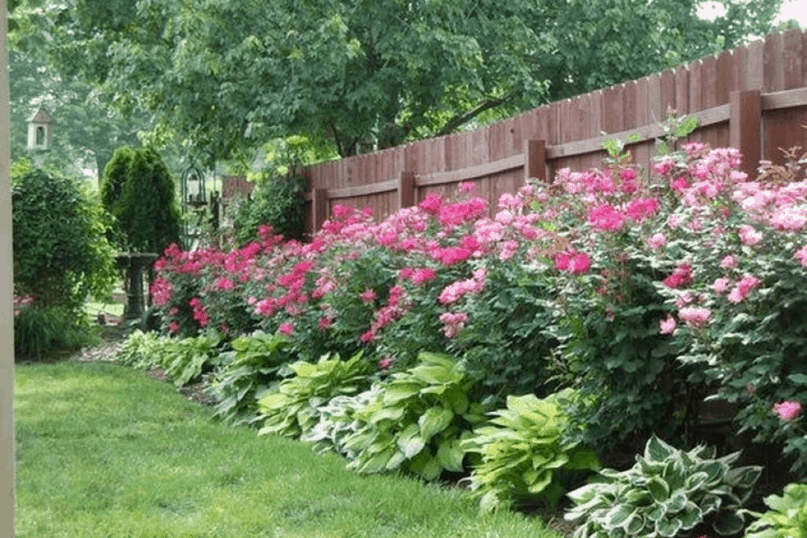 Tall flowering bushes