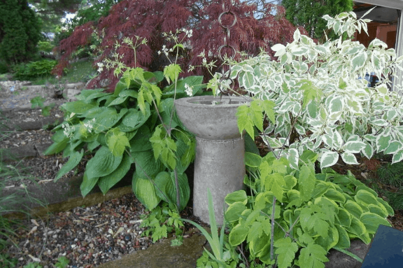 Bird Baths 