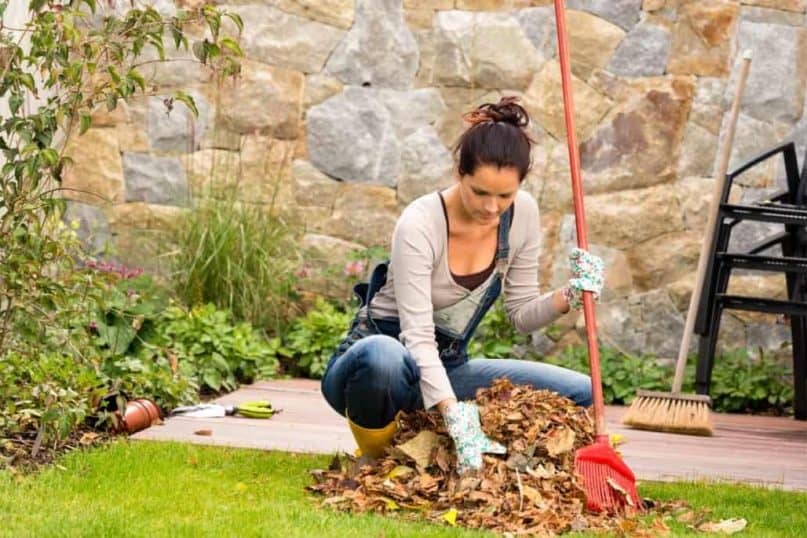 Maintain Your Raking for garden 