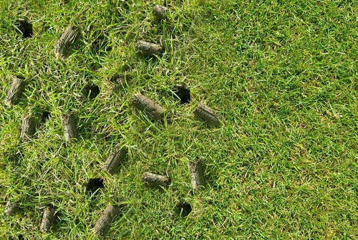 Aerate Your Lawn