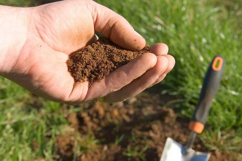 Test the soil in many places