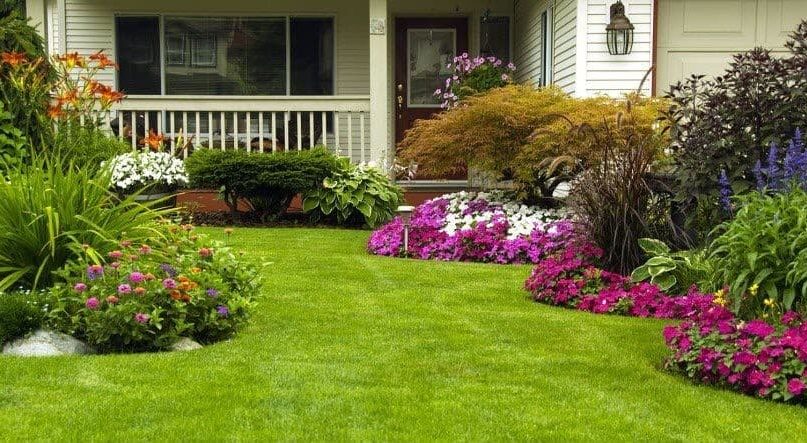 Tips for the Best Lawn