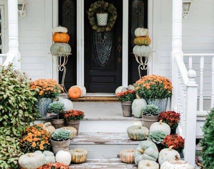 Potted Plants and Pumpkins Galore