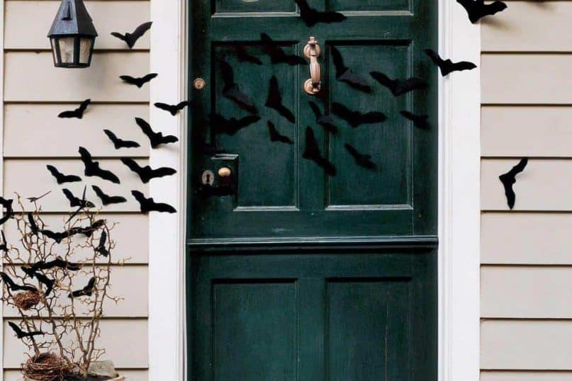 Bats on the door