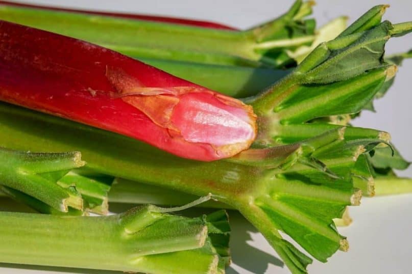 Rhubarb has the potential to upset the digestive tract.