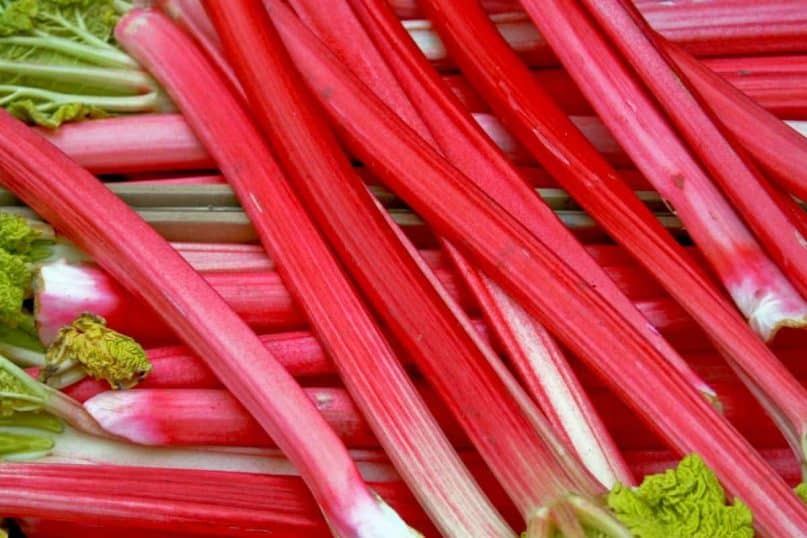 Rhubarb has the potential to upset the digestive tract.