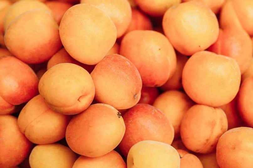 Apricots also contain cyanide.