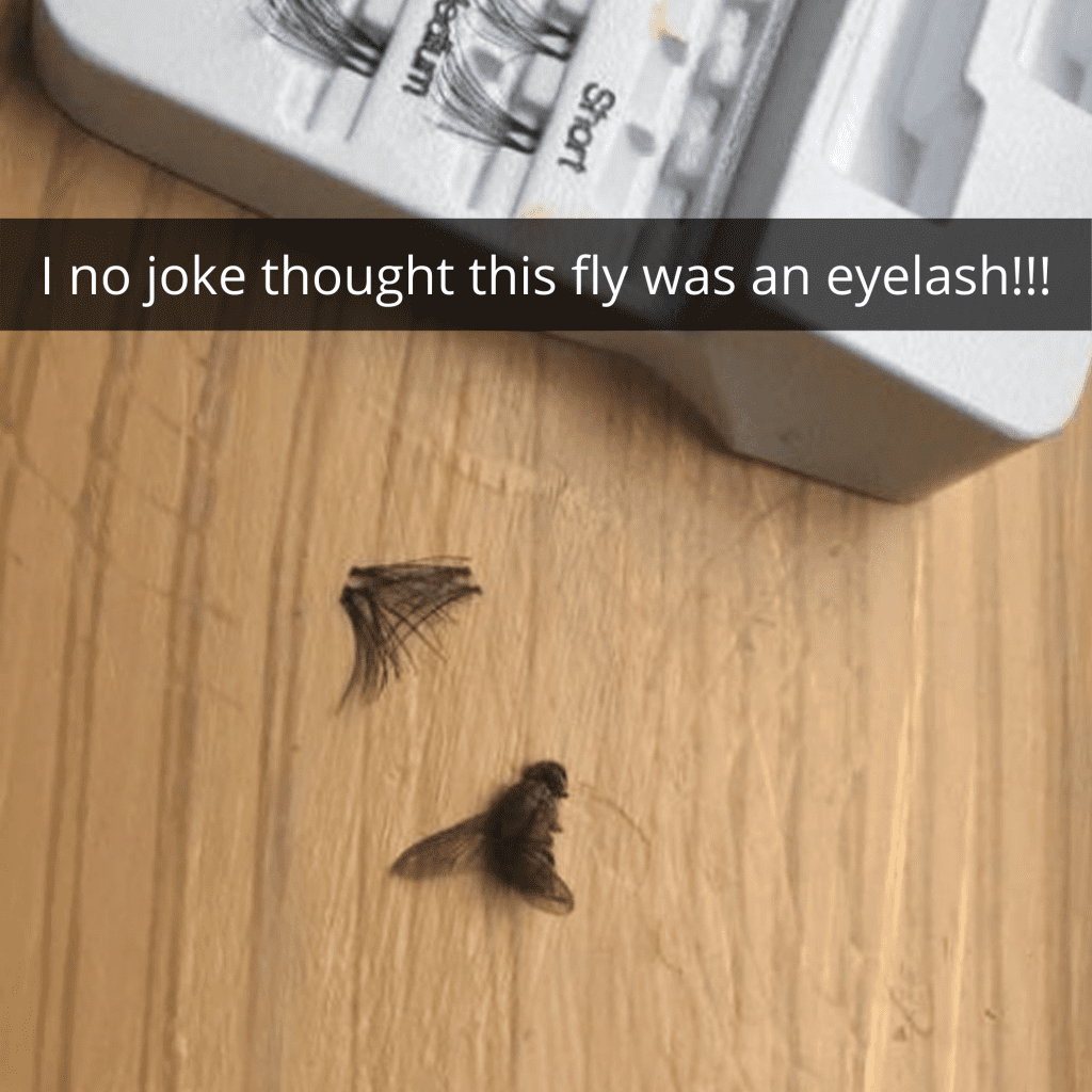 Attach Flies On Eyes