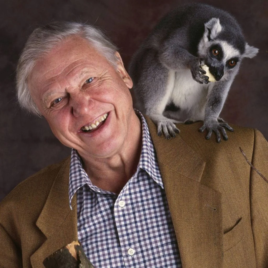 David Attenborough