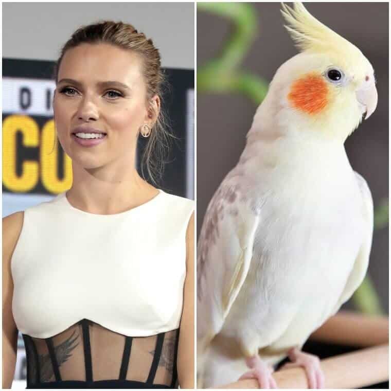 Scarlett Johansson